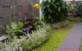 Nah, untuk pola vertikal, tanaman yang biasa digunakan yaitu yang menjulang ke atas, seperti vertical garden, misalnya. Mudah Ternyata Begini Cara Membuat Taman Sendiri Di Rumah