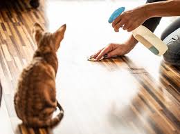 Kotet in die wohnung und „katze/kater markiert. 5 Alarmierende Grunde Warum Deine Katze Standig In Die Wohnung Pinkelt Wunderweib