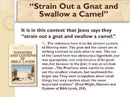 Provided to youtube by the orchard enterprises straining at a gnat and swallowing a camel · rev. Matthew 23 16 24 Woe To You Blind Guides Who Say Whoever Swears By The Temple It Is Nothing But Whoever Swears By The Gold Of The Temple He Is Ppt Download