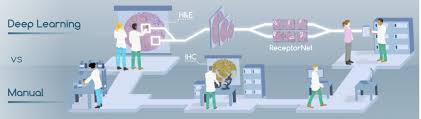 Radiation therapy often helps lower the risk of recurrence in the breast. How Ai Could Make Therapeutic Decision Making For Breast Cancer More Accurate Affordable Imaging Technology News