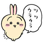 うさぎ (ちいかわ)