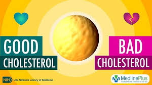 When a person receives his or her cholesterol test (lipid panel) results, several numbers may be listed (total cholesterol, ldl, hdl) along with several cholesterol ratios. Medlineplus Cholesterol Good And Bad