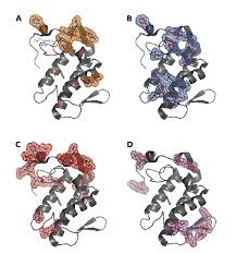 The court in green noted that its decision was governed by people v. Surface Residues Of Ammodytoxin A Atxa Responsible For A Presynaptic Download Scientific Diagram