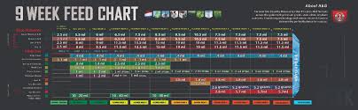 Feed Charts House Garden Npk Technology Hydroponics