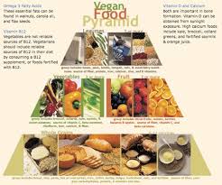 Download this premium vector about food pyramid healthy vegan eating infographic, and discover more than 9 million professional graphic resources on freepik. Vegan Food Pyramid Mr Mrs Vegan