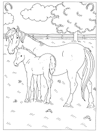 Op deze kleurplaat paard pagina vind je mooie paarden kleurplaten voor alle paardenliefhebbers. Kleurplaat Paard Verjaardag