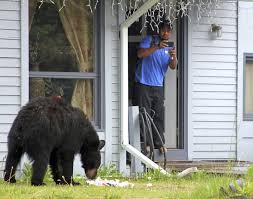 Air pollution and air quality trends (lower is better). Young Black Bear Roams Anchorage Neighborhood Raids Trash