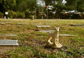 Here are some people who have written books, telling what they did and why they did those things: Sorrento Valley Pet Cemetery Hidden San Diego