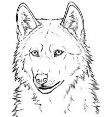 Wolf Face Coloring Pages Wolven Tekenen Leer Tekenen Tekenen