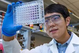 Scientists make incredible discovery after studying common food element:  'Could transform nutrition and medicine'