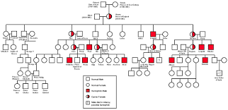 Haemophilia acquired the name the royal disease due to the high number of descendants of queen victoria afflicted by it. Queen Victoria S Family Hemophilia Chart Queen Victoria Family Queen Victoria Family Tree Queen Victoria
