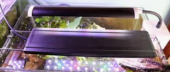 Best Led Fish Tank Lights Grow Plants Faster Zenaquaria
