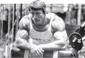 Who is arnold schwarzenegger's girlfriend heather milligan? Arnolds Top 5 Fur Extremen Muskelaufbau Allgemein Magazin Powerfood Ch The Leader In Sport Nutrition