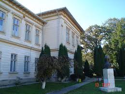 Micul george bacovia era răsfățatul mamei lui , atât vestimentar, alimentar, cât și afectiv. Liceul George Bacovia Actualul Ferdinand Mapio Net