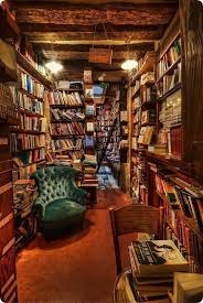 After The War When The Survivors Became Technophobic And Burned All The Books Only Underground Lib Dream Library Home Libraries Shakespeare And Company Paris