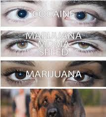 Eyes On Drugs Blank Template Imgflip
