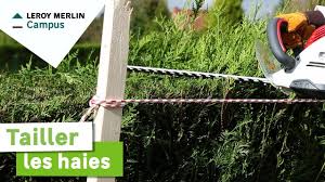 Comment Tailler Les Haies Leroy Merlin Youtube