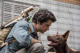 1,106 likes · 53 talking about this. Love And Monsters Altadefinizione Streaming Godzilla Vs Kong 2020 Altadefinizione Streamingaltad1 Twitter Fantascienza Film Streaming Film Fantascienza Streaming In Altadefinizione Online Film Streaming Gratis Su Altadefinizione01