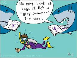 How To Identify Them Diving Quotes Scuba Diving Quotes Diving