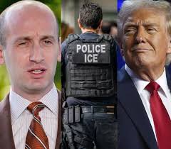 Donald Trump's top advisor Stephen Miller has a fascist meltdown after ICE  officers are denied entry into a literal elementary school amidst MAGA mass  deportations. This is a cartoonishly evil rant from