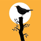Autumn Bird Walk | The Lower Derwent Valley event image