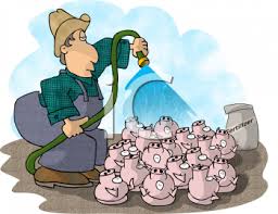 Cartoon of a Pig Farmer Watering His Hogs - Royalty Free Clipart ...
