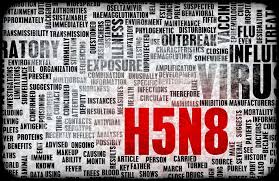 Tous les contenus sont la propriété de mediresource inc. Premier Cas De Transmission De La Grippe Aviaire H5n8 A L Etre Humain Identifie En Russie