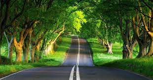 Temukan gambar dan video tentang pemandangan dari seluruh dunia di we heart it. Lihatlah Pemandangan Alam Yang Hijau Ini Sangat Indah Bukan Gambar Alam Yg Sang Hd Nature Wallpapers Beautiful Landscape Photography Nature Desktop Wallpaper