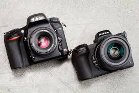 Nikon's small world 2015 photomicrography competition takes us into the miniscule universe. Here S Why I Won T Be Swapping My Nikon D750 For A Z6 But Maybe You Should Digital Photography Review