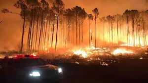 Incendios forestales entre las principales causas de deslaves mortales. Incendios En Argentina Once Provincias Permanecen Con Focos Activos Rosario3