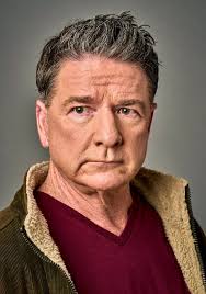 The Lifeguard (2013)