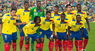 The 2014 copa do brasil (officially the 2014 copa sadia do brasil for sponsorship reasons) was the 26th edition of the copa do brasil football competition. Brasil 2014 Mundial Futbol Perfil De Ecuador Hecho Por La Fifa Para Brasil 2014 Video Subtitulado Tera Deportes