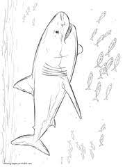 Find more coloring pages online for kids and adults of sea animals shark s14bf coloring pages to print. 111 Sea And Ocean Animals Coloring Pages To Print