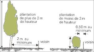 Arbres Arbustes Haies Distances Entretien Guichainville Site Officiel De La Commune