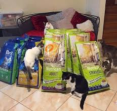 A Big Thank You To Ktenas Group For Delivery Of Nutrican And Brit Premium Cat Food To Our Greek Cat Sanctuary We Are Also Very Grateful For Their Generous Dona