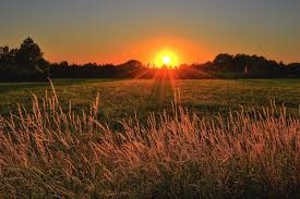 ✓ free for commercial use ✓ high quality images. Brown And Green Grass Field During Sunset Free Stock Photo