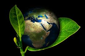 Environment day is celebrated in various ways throughout the world like kenya, new zealand, poland, spain and the united states. World Environment Day 10 Small Ways To Save And Help Conserve The Planet Earth