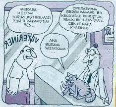 hunili baskan on twitter caricature comics fun