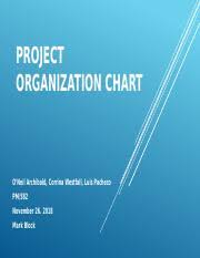 Project Organization Chart Team D Final Draft Pptx Project