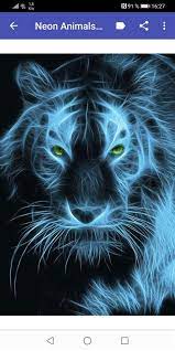 Neon animals wallpaper requires android os version of 3.4 and up. Neon Animal Wallpapper Download Download Neon Animal Wallpaper Gallery Everydownloaad