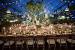 Botanical Garden Wedding Reception