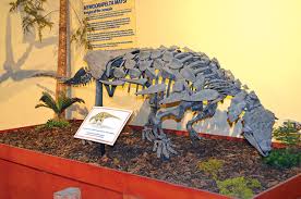 We did not find results for: Museums And Exhibits In The Dinosaur Diamond