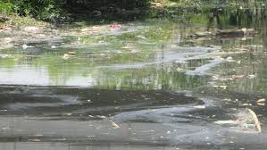 I am zoey,since we are learning water resources in geography class now let's take a look that water pollution in our own country,malaysia. River In Sungai Petani Kedah Getting More Polluted Consumers Association Penang