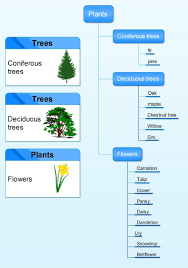 Plants Learn The Names Of 15 Kinds Of Plants Plants Trees To Plant Mind Map