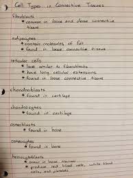 Cell Types In Connective Tissues Medical Student Study Medical School Essentials Medical School Studying