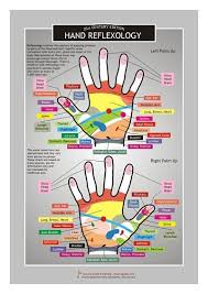 Hand Reflexology Information Resource Chart