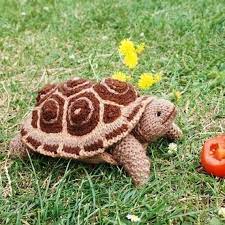 Having a knitting group to go to has really helped too. Tortoise Knitting Pattern Aww Animal Knitting Patterns Crochet Turtle Turtle Pattern