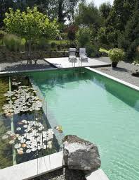 Pinterest Les 30 Plus Belles Piscines Qui Vont Vous Faire Rever Piscine Rectangulaire Design Petite Piscine Et Piscines Design