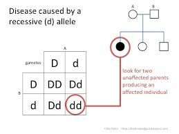 Idiots Guide To Analysing Pedigree Charts