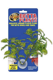 Zoo Med Betta Plants Window Leaf Plant In 2020 Plastic Plants Plants Zoo Med